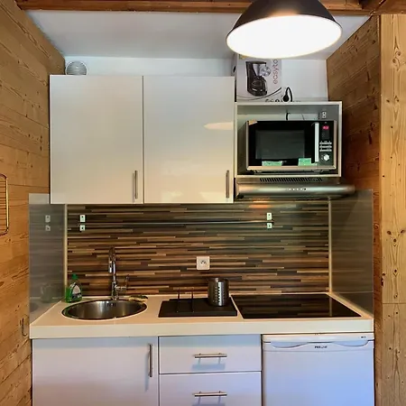 2 Pieces Pour 5 Pers, Au Pied Des Pistes, 24m², Vieil Alpe, Alpe D'huez - Fr-1-405-217 Apartment